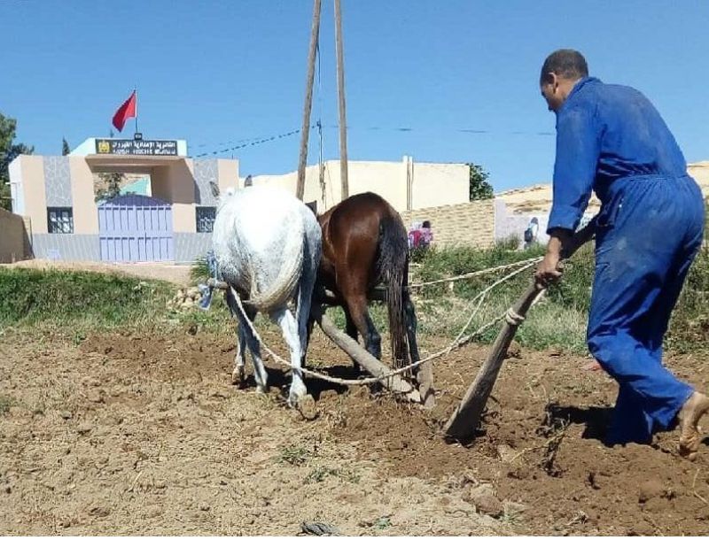 Como colaborar en Marruecos